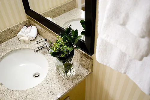 Comfort Michigan Avenue Отель Чикаго
