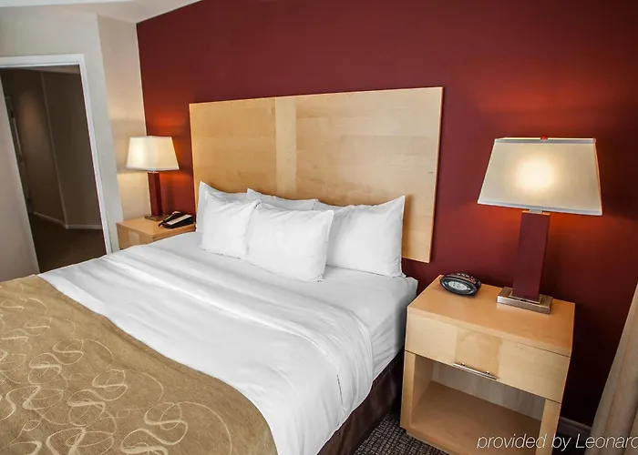 Отель Comfort Michigan Avenue 3*