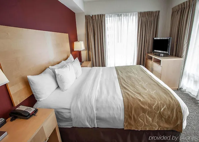 Comfort Michigan Avenue Отель 3*