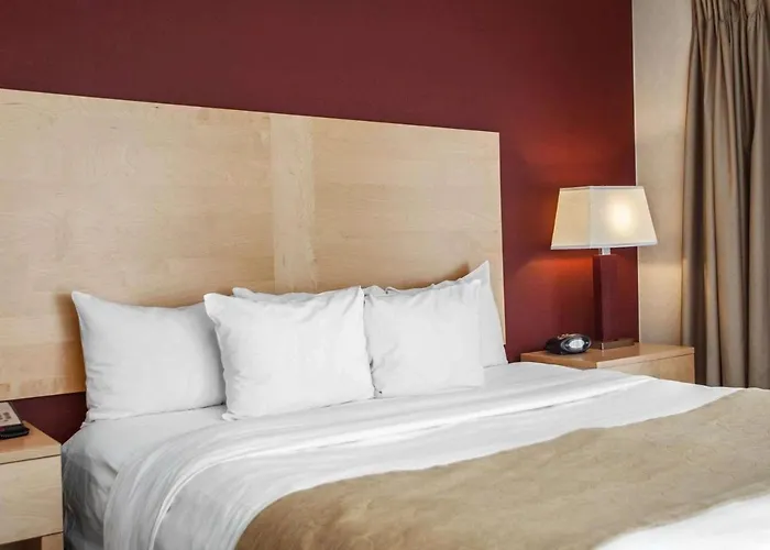Comfort Michigan Avenue Отель Чикаго