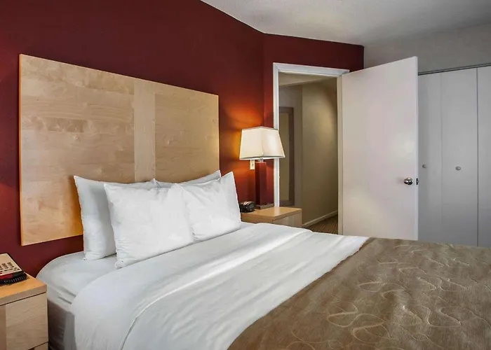 Comfort Michigan Avenue Отель
