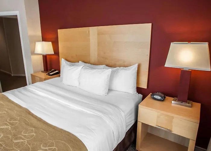 Comfort Michigan Avenue Отель 3*