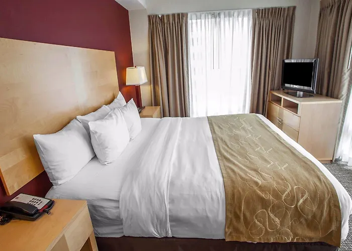 Comfort Michigan Avenue 3*