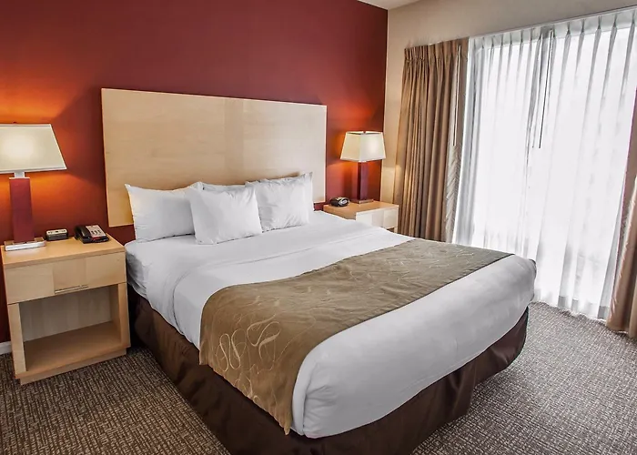 Отель Comfort Michigan Avenue 3*