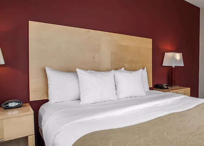 Отель Comfort Michigan Avenue Чикаго